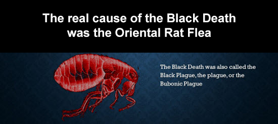 Bubonic Plague
