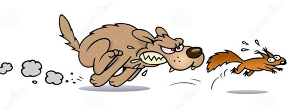 Pick up your own dog poop.