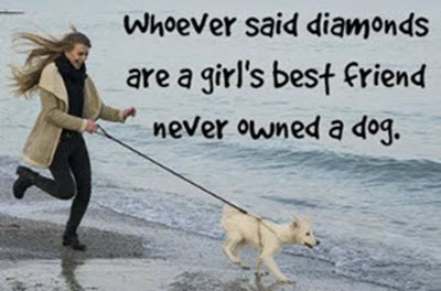 Grief is a natural response when a pet dies.