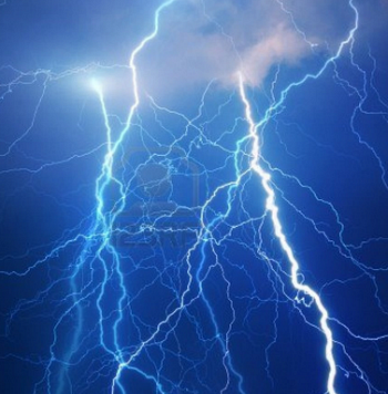 Thunder can make dogs pee indoors