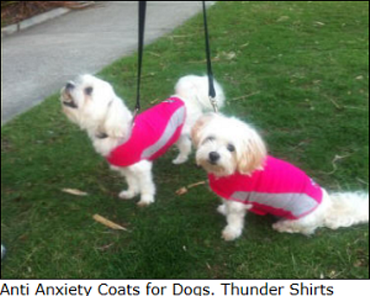 stress and anxiety when thunder and lightening strikes and fireworks