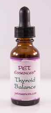 Hypothyroidism and your dog