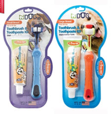 The benefits of brushing your dog's teeth.