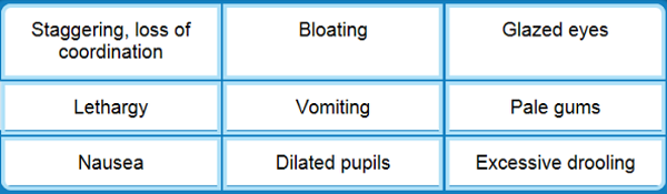Symptoms of water intoxication